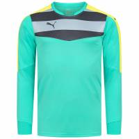 PUMA Stadium GK Shirt Heren Keepersshirt 702089-34