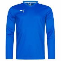 PUMA Pitch Men Long-sleeved Jersey 702088-02