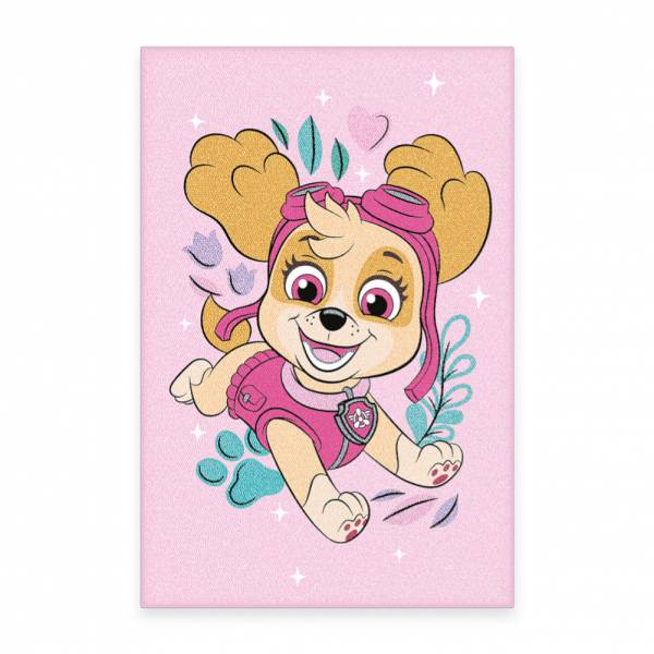 Pat' Patrouille Paillasson Tapis 50 x 75 cm 6432443194523