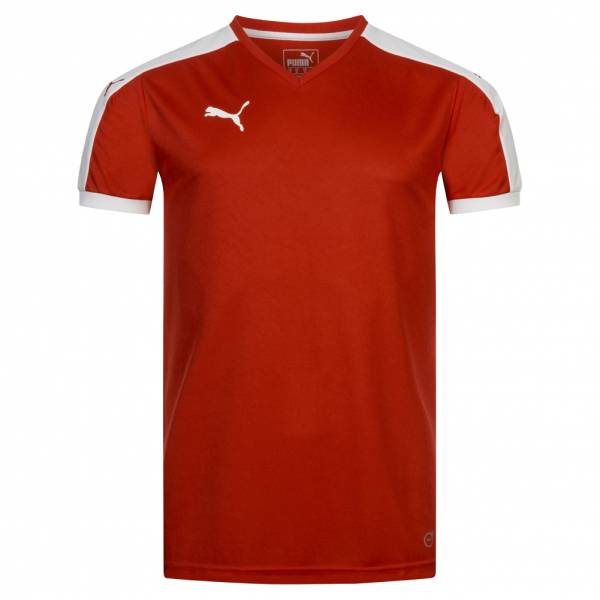 PUMA Pitch Men Jersey 702070-01